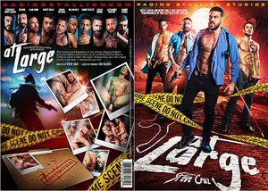 At Large Gay NR Mix Sealed DVD (Active DVD, Still in Print) December Special